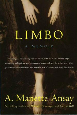 Cover of the book Limbo by Noelle Cablay