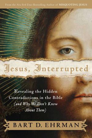 Cover of the book Jesus, Interrupted by David J. Wolpe