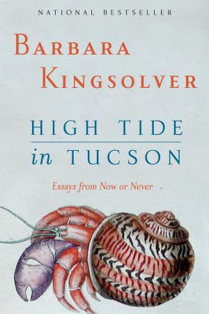 Cover of the book High Tide in Tucson by Laurie Mylroie