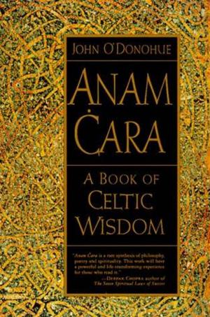 Cover of the book Anam Cara by Shirley Rousseau Murphy