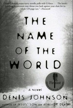 Cover of the book The Name of the World by Raymond E Feist