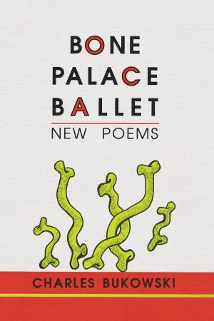 Book cover of Bone Palace Ballet