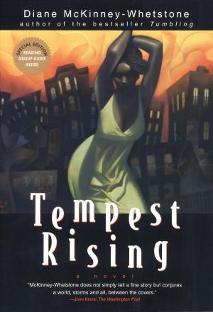 Cover of the book Tempest Rising by Peter Evans
