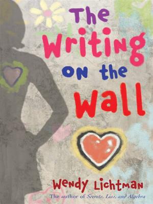Cover of the book Do the Math #2: The Writing on the Wall by Anne Cameron