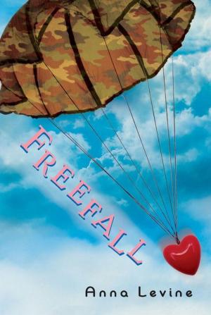 bigCover of the book Freefall by 