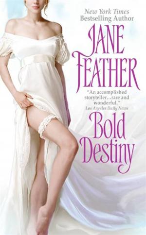 Cover of the book Bold Destiny by Melody Thomas