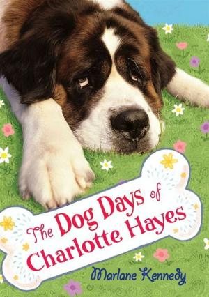Cover of the book The Dog Days of Charlotte Hayes by David Kherdian