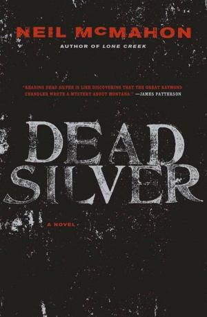 Cover of the book Dead Silver by Andrea Lavinthal, Jessica Rozler