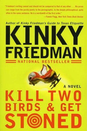 Cover of the book Kill Two Birds & Get Stoned by John Weisman