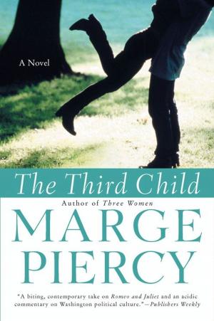 Cover of the book The Third Child by Joyce Carol Oates