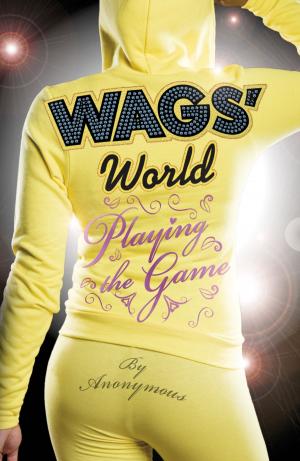 Cover of the book WAGS' World: Playing the Game by Theodor Fontane, Helen Chambers