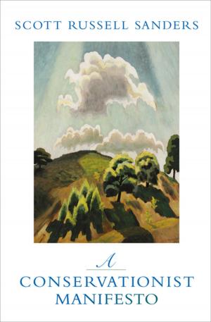 Cover of the book A Conservationist Manifesto by Félix Pérez-Lorente