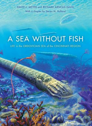 Cover of the book A Sea without Fish by Lilya Kaganovsky