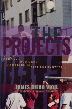Cover of the book The Projects by Lonn Taylor, David B. Warren