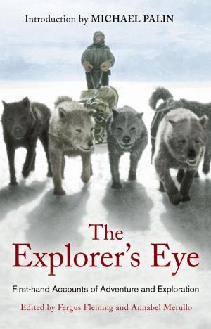 Cover of the book The Explorer's Eye by John Brunner