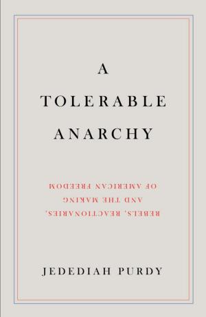 Cover of the book A Tolerable Anarchy by Misha Glenny