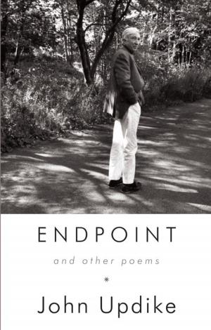 Cover of the book Endpoint and Other Poems by Eileen Chang