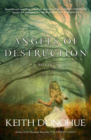 Cover of the book Angels of Destruction by Jody Rathgeb