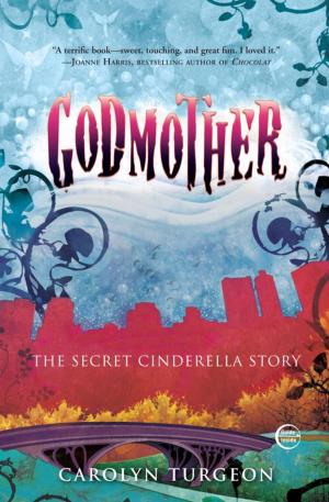 Book cover of Godmother