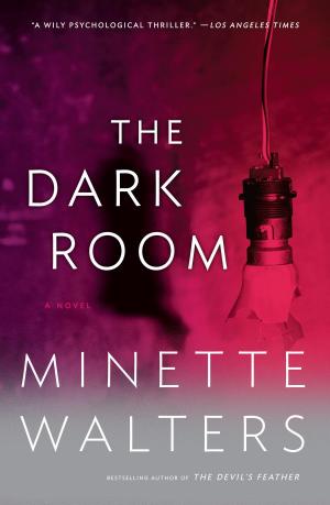 Cover of the book The Dark Room by Jessica Mitford