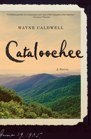 Cover of the book Cataloochee by Donna Kauffman