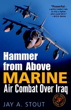 Book cover of Hammer from Above