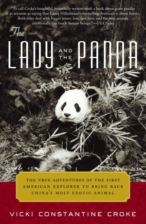 Cover of the book The Lady and the Panda by Jan de Cock
