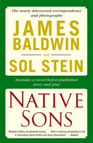 Cover of the book Native Sons by S. A. Swann