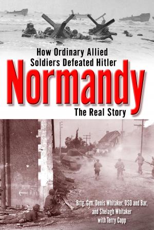 Cover of the book Normandy by Peter Abrahams