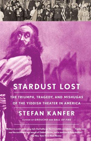 Cover of the book Stardust Lost by Shlomo Avineri