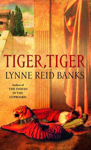 Cover of the book Tiger, Tiger by Tallulah May
