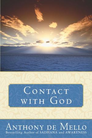 Cover of the book Contact with God by Liz Curtis Higgs
