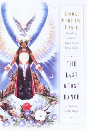 Cover of the book The Last Ghost Dance by Peter V. Brett