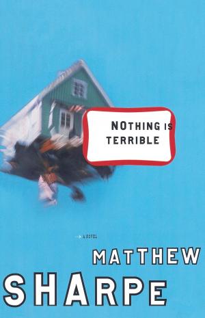 Cover of the book Nothing Is Terrible by Robert Van Kampen
