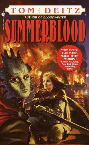 Cover of the book Summerblood by Gertrude Stein