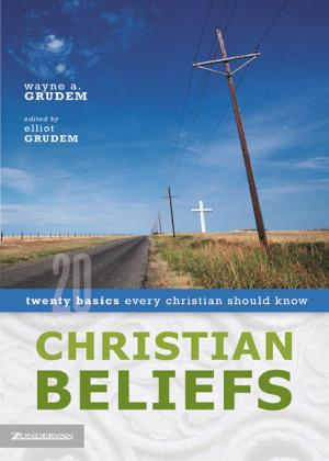 Cover of the book Christian Beliefs by Stanley N. Gundry, James J. Stamoolis, Zondervan