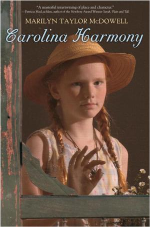 Cover of the book Carolina Harmony by Susan Amerikaner