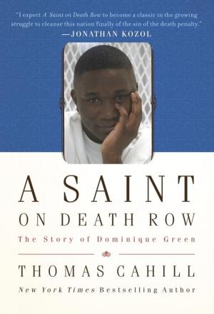 Cover of the book A Saint on Death Row by Dennis McFarland