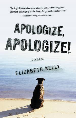 Cover of the book Apologize, Apologize! by Alexis Hall