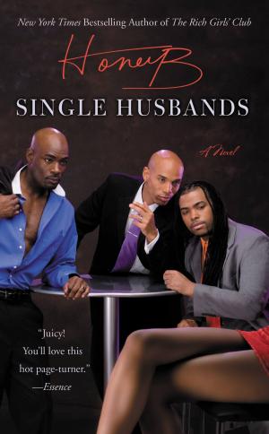 Cover of the book Single Husbands by R. Paul St. Amand, Claudia Craig Marek
