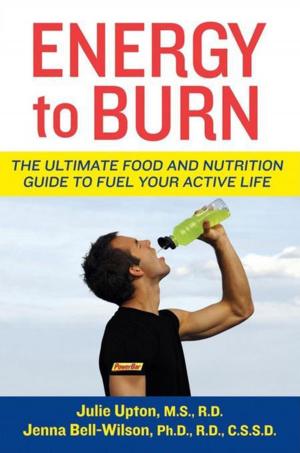 Cover of the book Energy to Burn by Rabbi Karyn D. Kedar