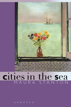 Cover of the book Cities in the Sea by Janelle Wong