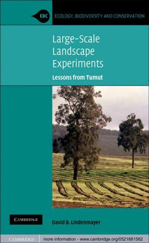 Cover of the book Large-Scale Landscape Experiments by Ernian Pan, Weiqiu Chen