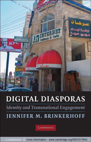 Cover of the book Digital Diasporas by 