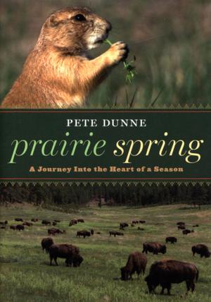 Cover of the book Prairie Spring by Amy Benson