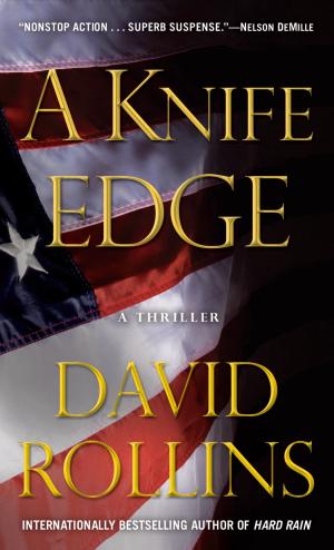 Cover of the book A Knife Edge by Scott Simon