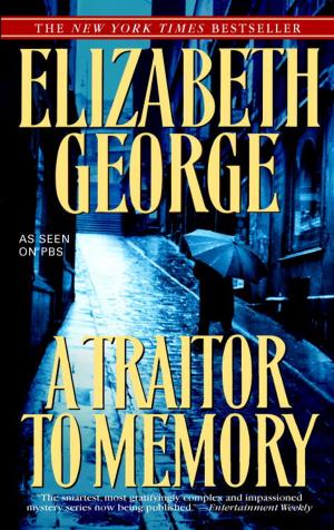 Cover of the book A Traitor to Memory by Amanda Kyle Williams