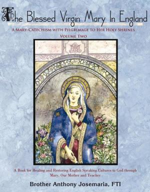 Cover of the book The Blessed Virgin Mary in England: Vol. Ii by JUDY EDWARDS