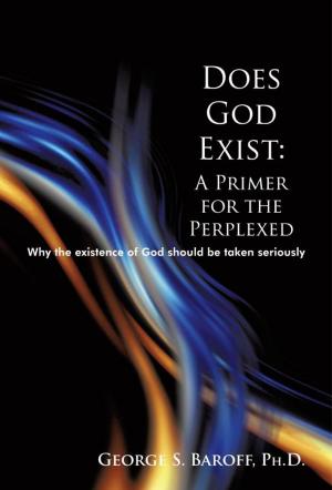 Cover of the book Does God Exist: a Primer for the Perplexed by Dele Babalola