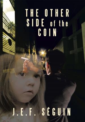 Cover of the book The Other Side of the Coin by Lisa Michelle Hess